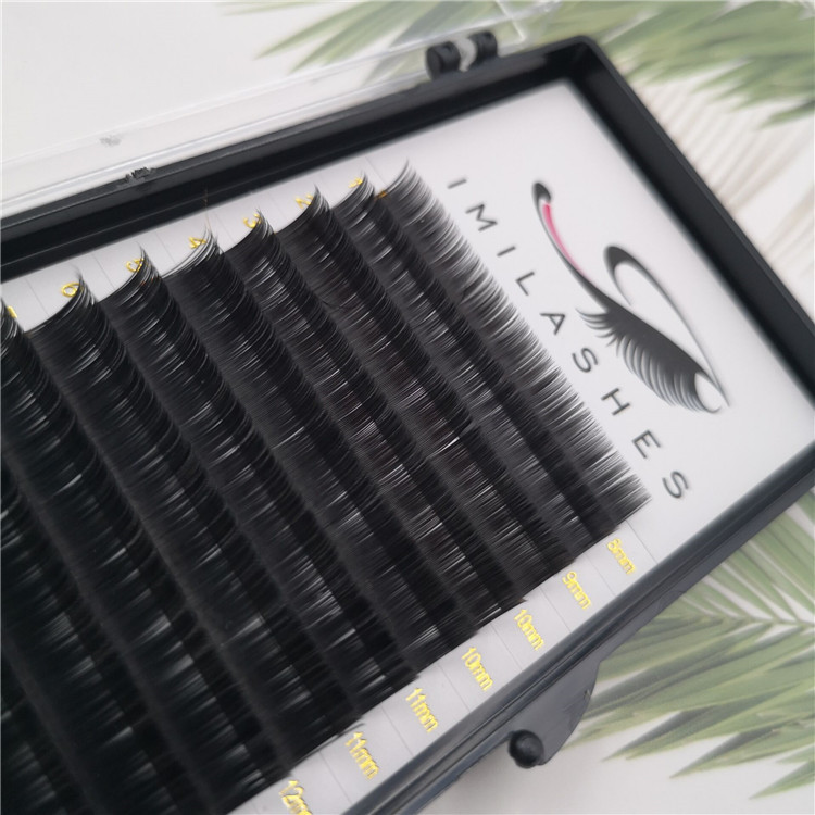 China high quality ellipse flat eyelashes vendor-V